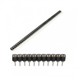 Header Troquelado 40 pins