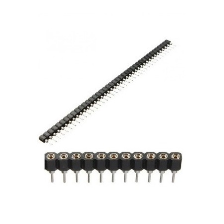 Header Troquelado 40 pins