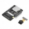 ESP 32 + CAM