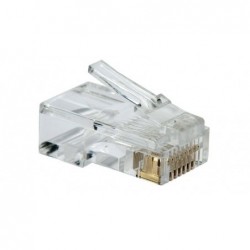PLUG RJ 45 CAT5