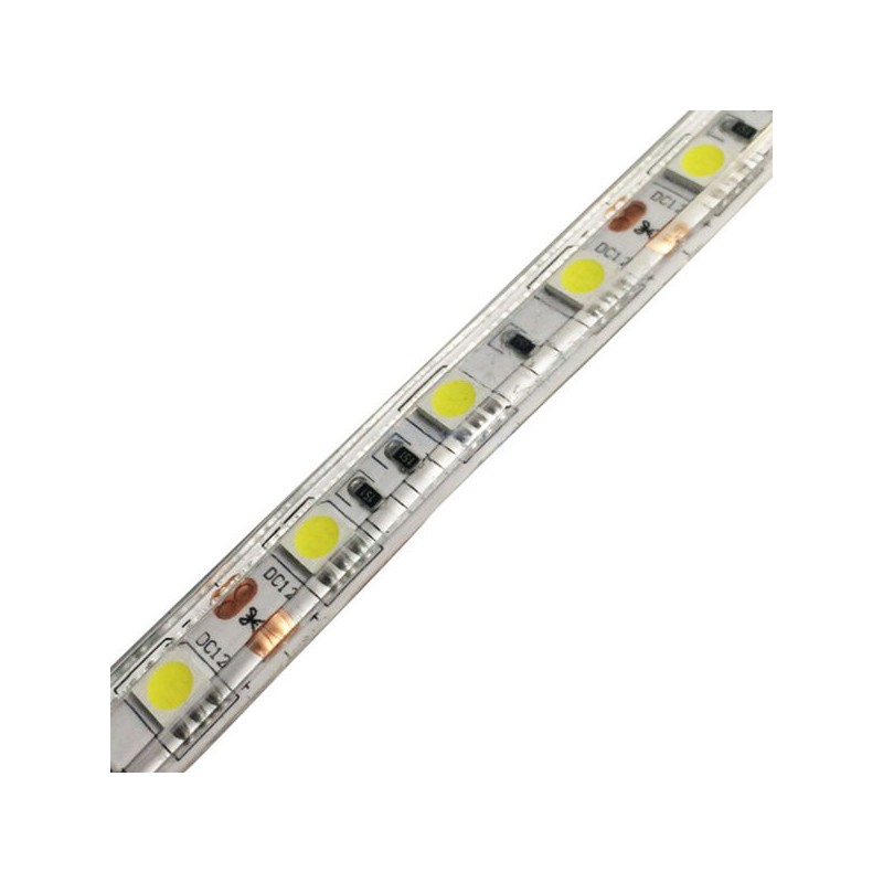Tira De Led 50-50   1m