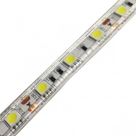 Tira De Led 50-50   1m