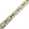 Tira De Led 50-50   1m